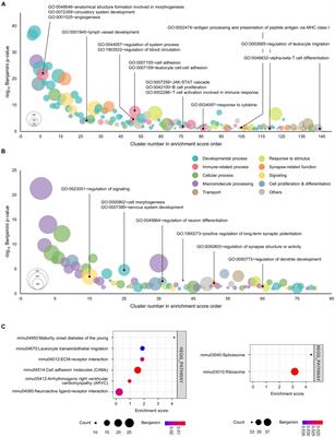 Recovery of synaptic loss and depressive-like behavior induced by GATA1 through blocking of the neuroinflammatory response